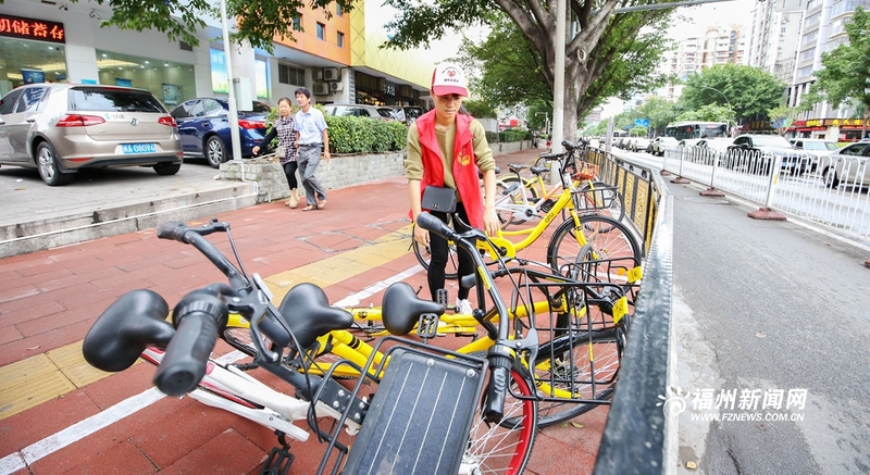 共享单车劝导党员志愿者：为美好市容出力