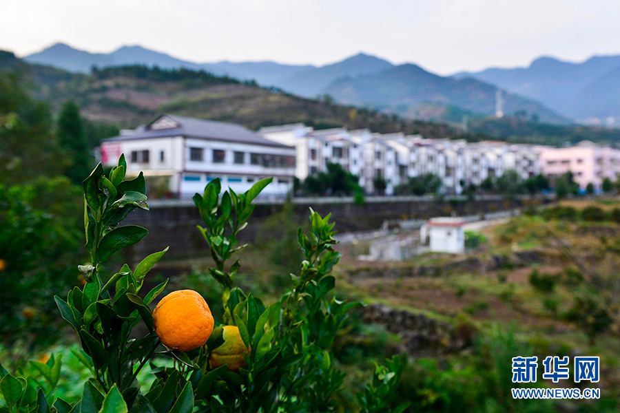 【渝情渝景】航拍三峡库区齐圣村 脱贫迎新面貌