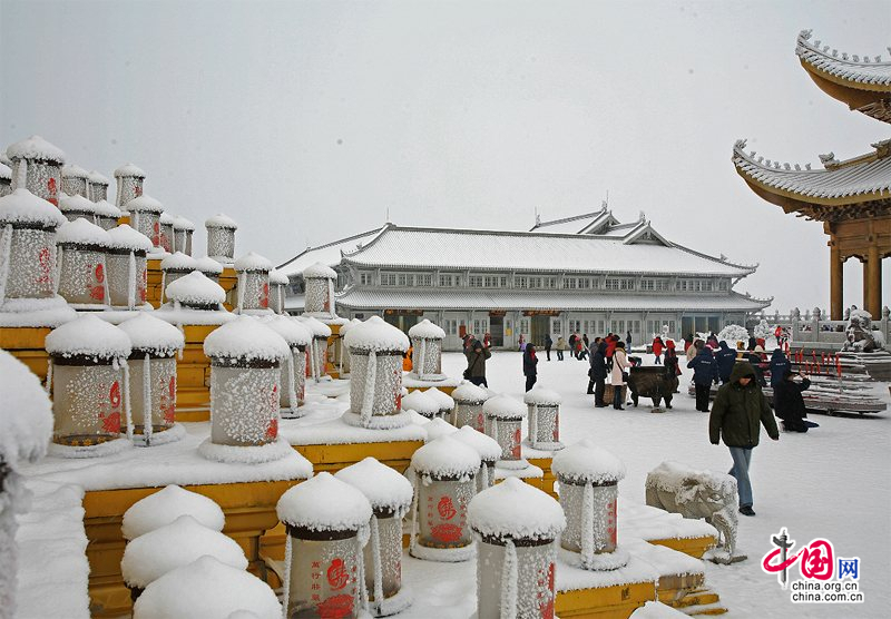 峨眉山:冰雪童话大世界 冬菊吐艳问情浓