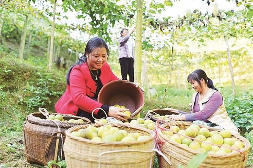 桂林：美丽山水间奏响脱贫攻坚最强音 ——桂林市脱贫攻坚工作综述