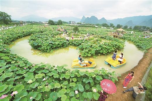 桂林：美丽山水间奏响脱贫攻坚最强音 ——桂林市脱贫攻坚工作综述