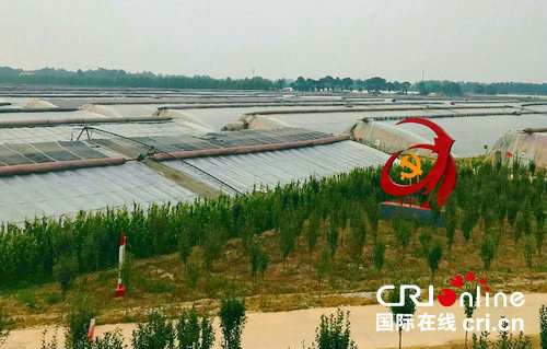 【河南原创】濮阳市南乐县构建农业振兴致富网 让科技为农业插上腾飞的翅膀