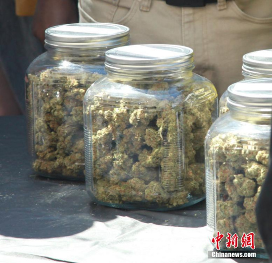 加拿大民调显示过半安大略省民众支持大麻合法化