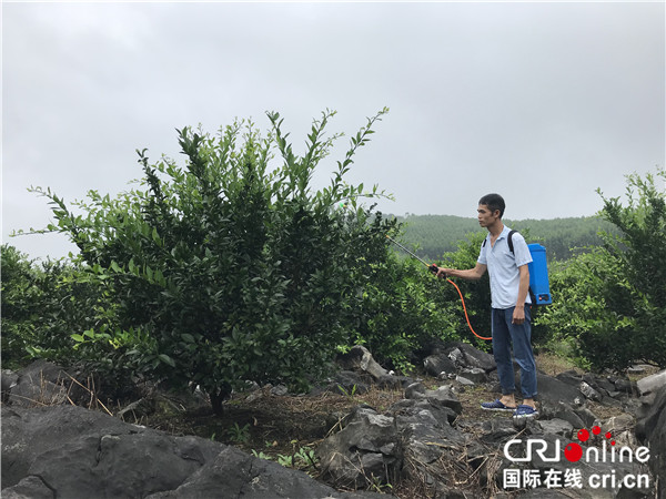 （在文中作了修改）让梦想之路烙上“实干”脚印——广西鹿寨大力发展产业助力脱贫