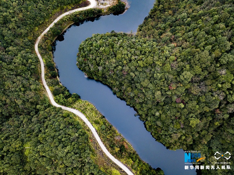 航拍江西宜丰官山自然保护区五彩斑斓胜似春景