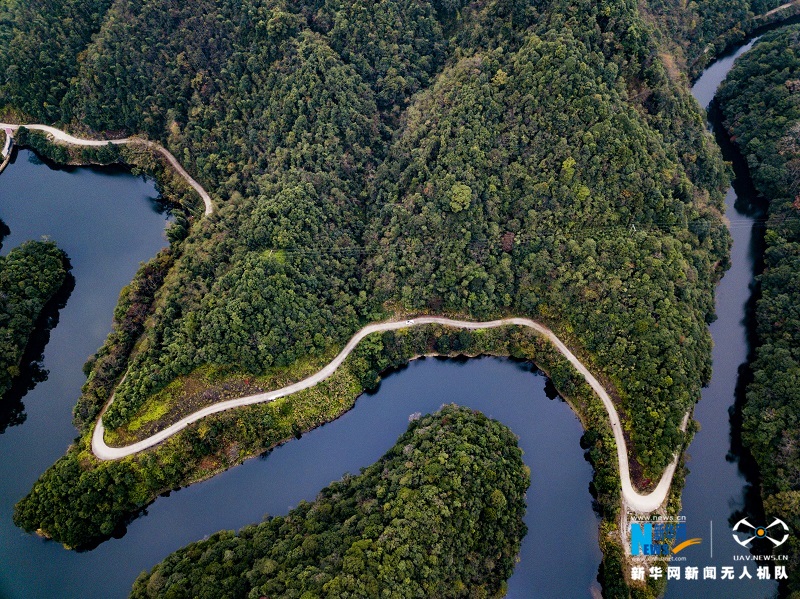 航拍江西宜丰官山自然保护区五彩斑斓胜似春景