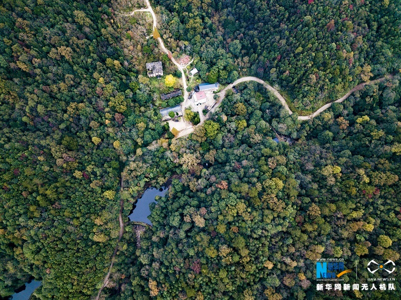 航拍江西宜丰官山自然保护区五彩斑斓胜似春景