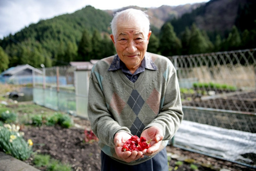 沉入湖底的日本梦幻辣椒：震撼辣感重现世间