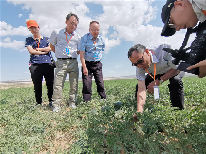 （农业示范区在新疆，标题已改）杨凌示范区：“科技花”开新疆黄花沟