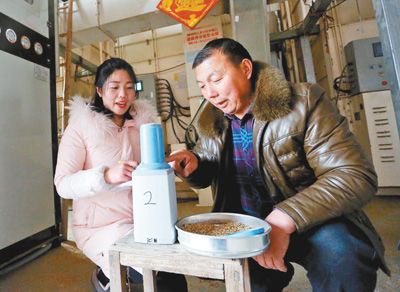 （食品图文）连云港采用清洁能源烘干粮食 增效降本