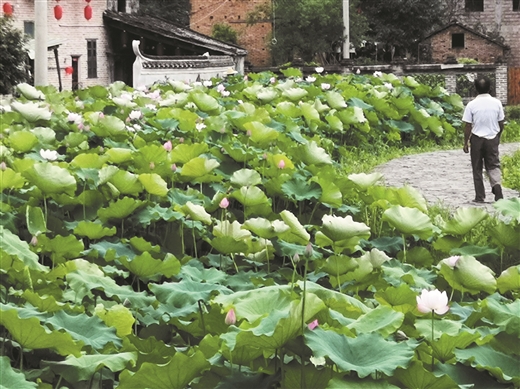 古韵悠悠深坡村