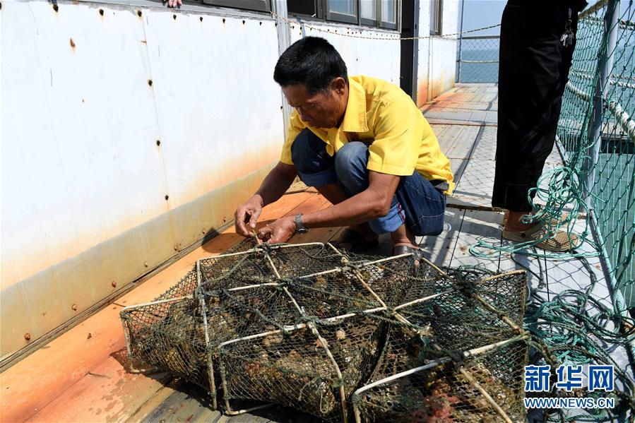 广西北海：“海丝”凭借力 南珠再起航