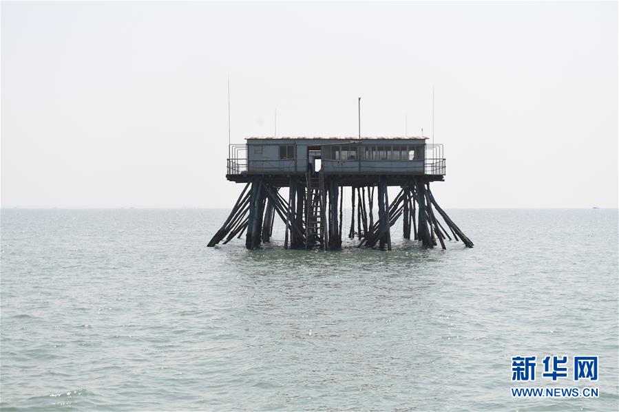 广西北海：“海丝”凭借力 南珠再起航