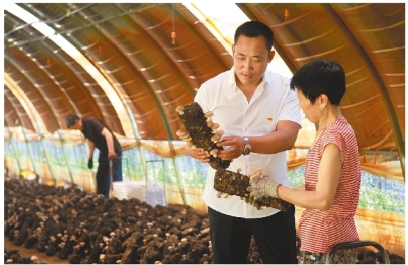 点燃红色引擎 奏响发展强音 ——铁岭市提升基层党建工作质量综述