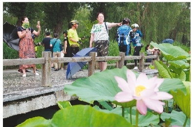 荷花文化旅游节开幕