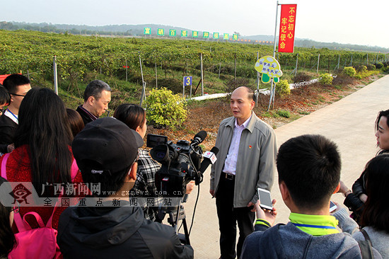 ［金融投资－图文、八桂大地贵港］平南：夯实产业基础 筑牢县域经济发展的基石(图)