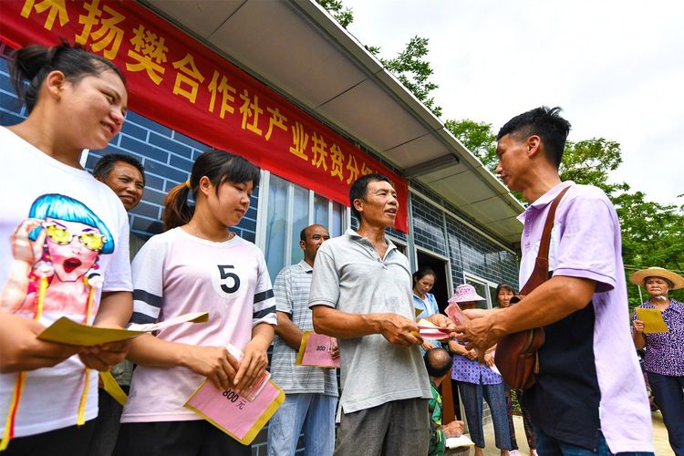 千名记者一线行|上林县洋造村：昔日“空壳村”变“集体经济强村”