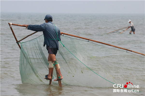 【我爱这片蓝色的国土】借海洋资源 扬区位优势 日照海滨国家森林公园打造海洋发展新典范