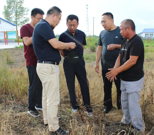 【黑龙江】【供稿】黑河市逊克县长袁强深入宝山乡检查指导脱贫攻坚工作