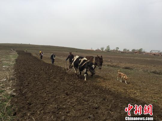 走进张北“草原天路” 感受它的“美”与“痛”(图)