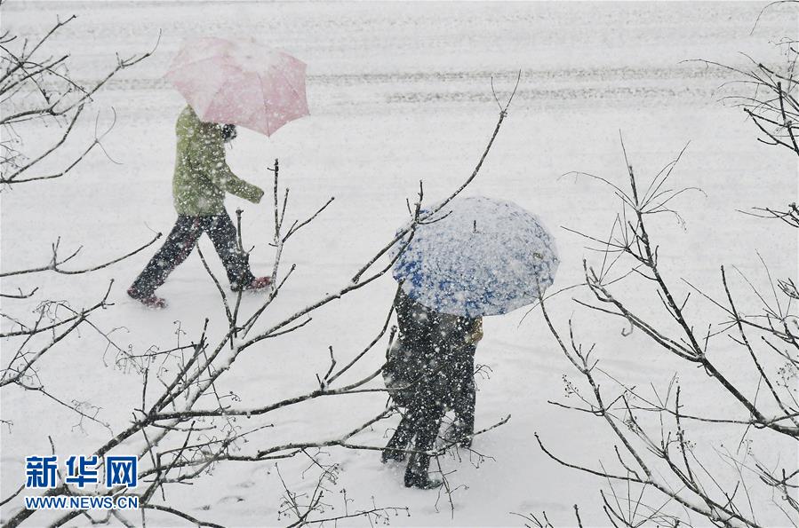 山东烟台普降大雪