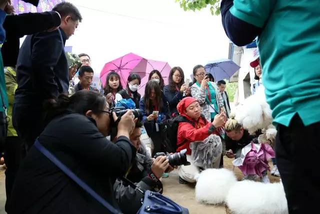 把新闻写在大地上——“治国理政河北新实践”网络媒体“走转改”活动综述