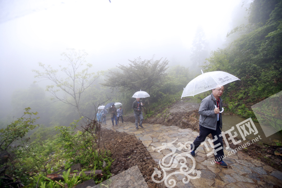 总编看彭水走进“天然氧吧” 感受天然地质奇观