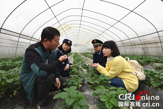 已修改【区县联动】【涪陵】【区县联动　列表】涪陵：电商产业成为城乡经济发展助推器