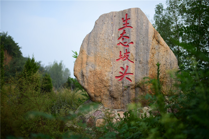 【B】三门峡市渑池县坡头乡：椒药产业助力乡村脱贫攻坚