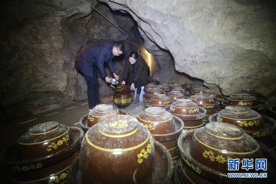 湖南张家界：特色洞藏酒受青睐