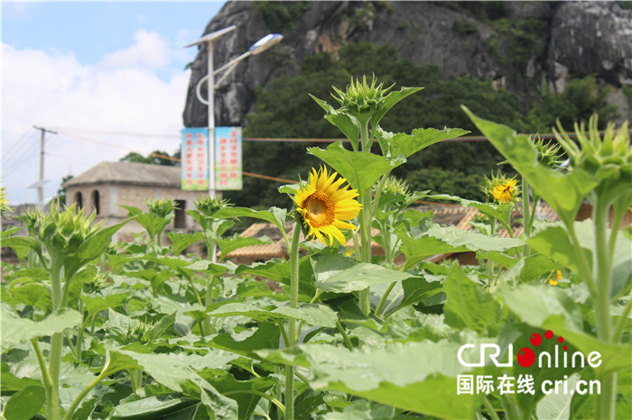 【A】拆除旧房奔小康——玉林市陆川县脱贫攻坚与乡村振兴无缝衔接