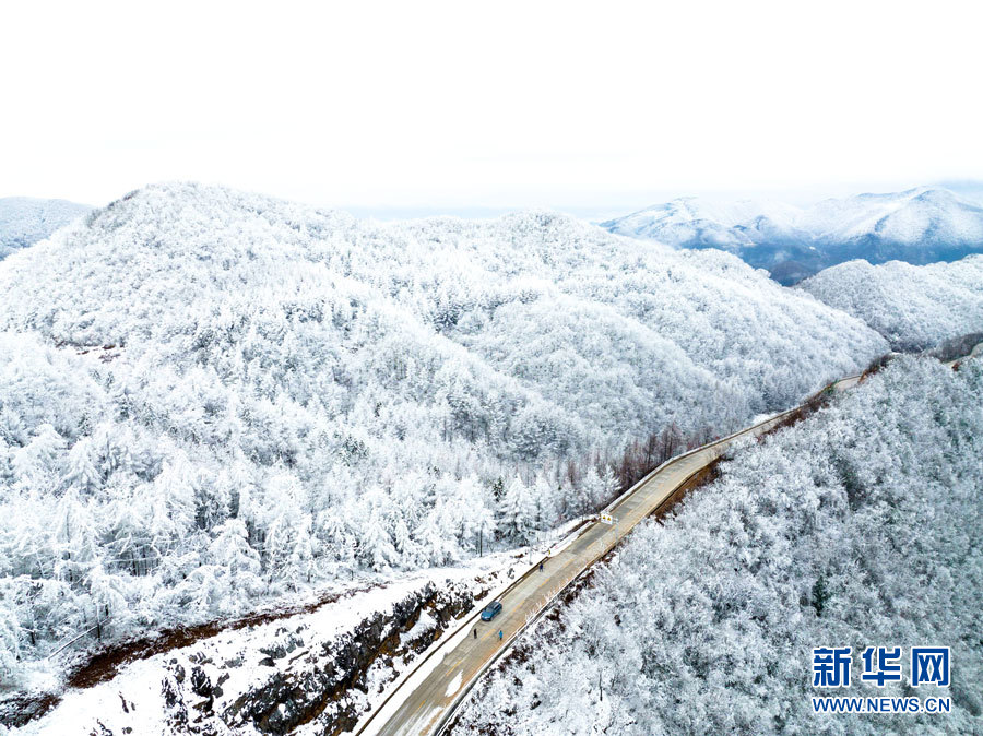 雾凇雪景 帧帧如画