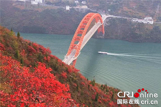 已过审【环保视点 绿色康养 图文摘要】层林尽染醉红叶 巫山红叶盛宴正当时