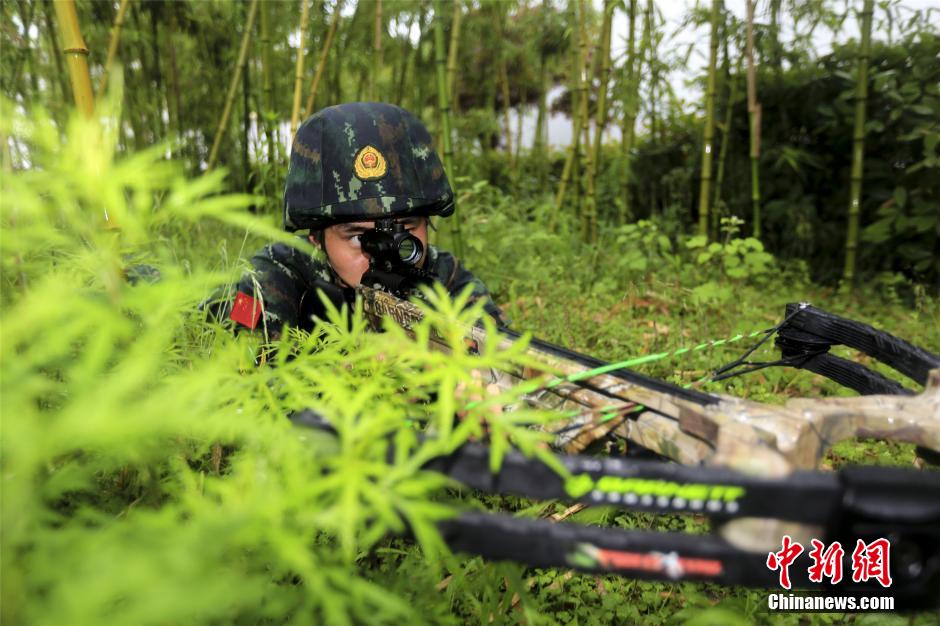 武警弓弩手的历练之路