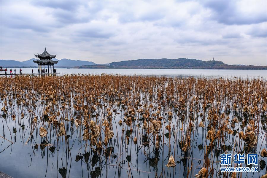 冬日西湖呈现“多彩画卷”