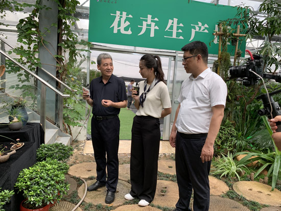 秦岭花世界直播：一日看尽长安花，局长带你来秒杀