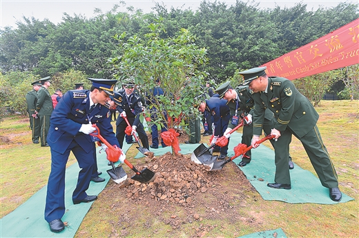 【焦点图】中越海警种下友谊树