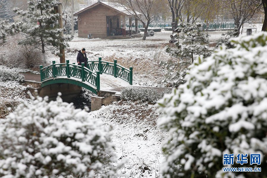 【轮播图】中原降瑞雪