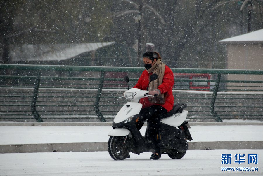 【轮播图】中原降瑞雪