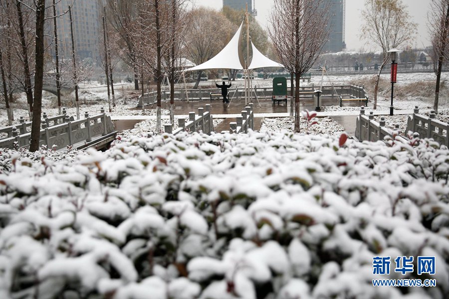 【轮播图】中原降瑞雪