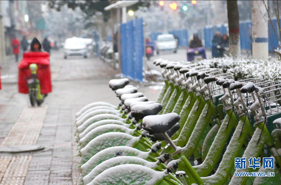 【轮播图】中原降瑞雪