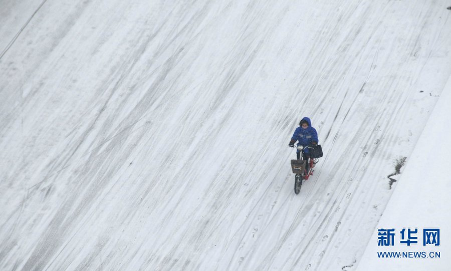 【轮播图】中原降瑞雪