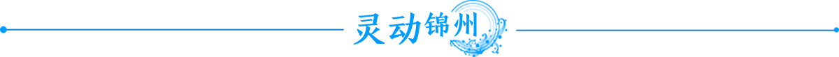 灵动锦州banner_fororder_灵动锦州1200x80