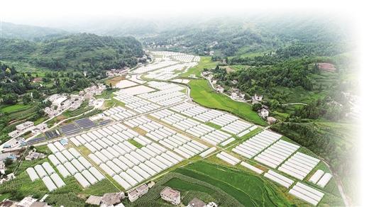 敢为善治 全力打造土地综合整治广西样板 ——解读全域土地综合整治的“柳南模式”