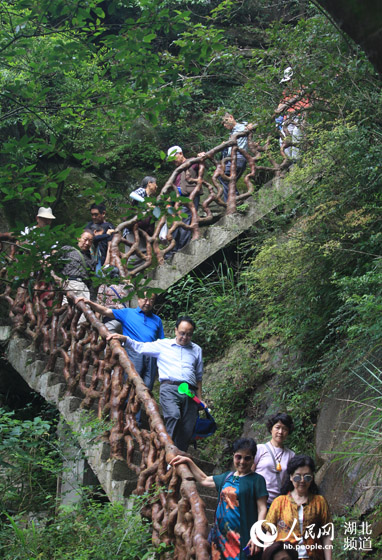 湖北利川苏马荡进入避暑旅游高锋期