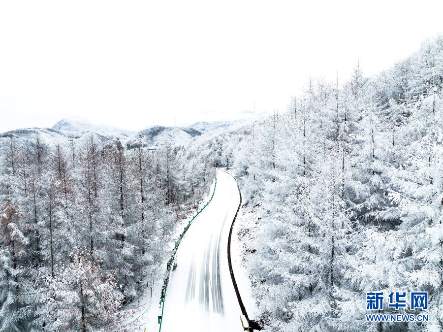 雾凇雪景 帧帧如画