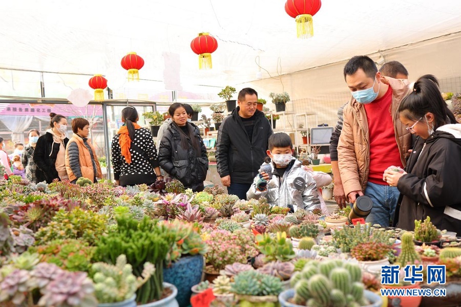 武汉花博园第六届迎春花市举行