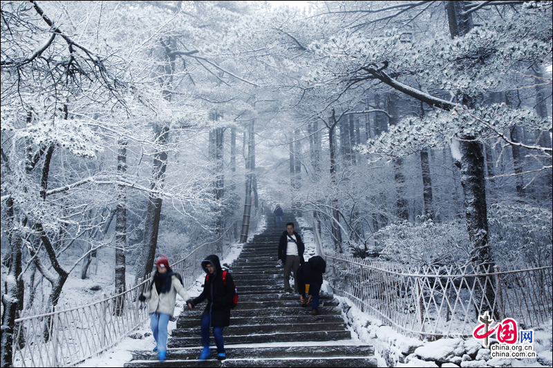 黄山风景区入冬以来第一场雪如期而至