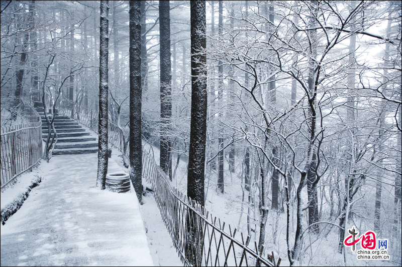 黄山风景区入冬以来第一场雪如期而至