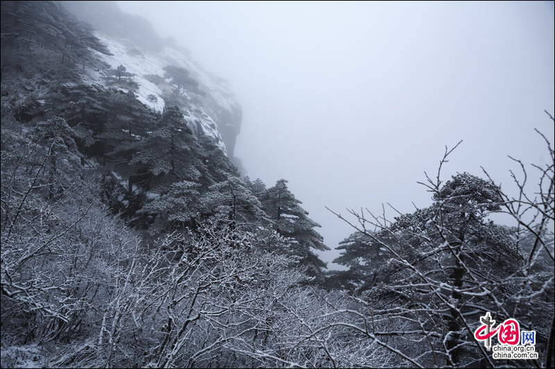 黄山风景区入冬以来第一场雪如期而至